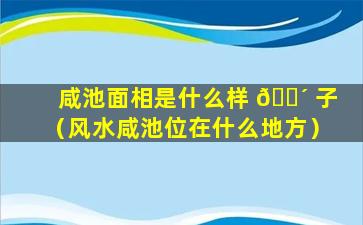 咸池面相是什么样 🌴 子（风水咸池位在什么地方）